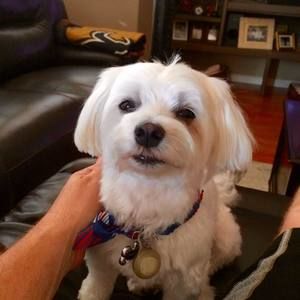 Meet your Posher, Kevin